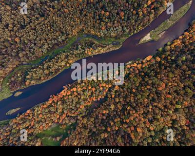 Aus der Vogelperspektive eines sich windenden Flusses, der durch einen lebhaften Herbstwald fließt, mit einer Palette von Herbstfarben, die sich in der Wasseroberfläche widerspiegeln Stockfoto