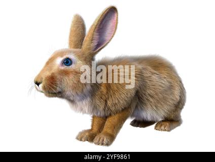 3D-Rendering eines Kontinentalkaninchens isoliert auf weißem Hintergrund Stockfoto
