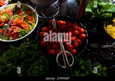 A close-up of plump, organic red tomatoes served in a sleek black bowl. Perfect for showcasing the natural beauty and vibrant color of fresh produce. Stockfoto