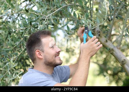 Glücklicher Mann, der zu Hause in einem Garten Olivenbäume beschneidet Stockfoto