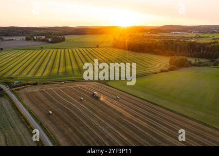 Malerischer Blick auf das landwirtschaftliche Feld vor dem Himmel bei Sonnenaufgang Stockfoto