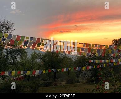 Spirituelle Gebetsfahnen im Paragliding Paradise of India Bir Billing, Himachal Pradesh, Indien Stockfoto