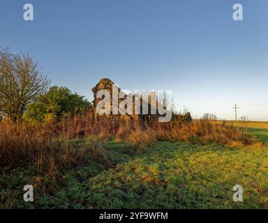 Ein verlassenes und ruiniertes altes schottisches Steinhaus und Gebäude, versteckt im Unterholz und Bäume in einer Ecke eines Feldes. Stockfoto