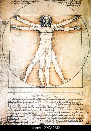 Anatomie-Kunst von Leonardo Da Vinci aus dem Jahr 1492 auf strukturierten Hintergrund. Stockfoto