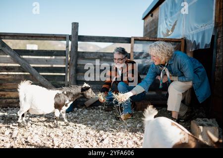 Ein zwangloses Paar mittleren Alters, das Ziegen auf einer Farm in den Bergen füttert Stockfoto