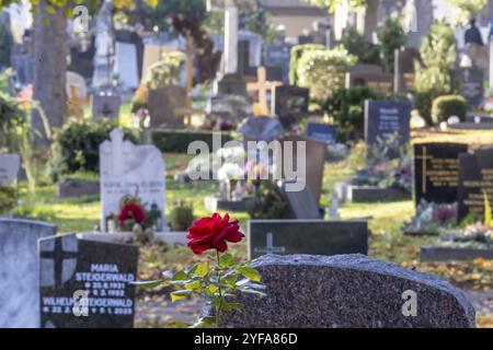 Allerheiligen auf dem Bergfriedhof in Stuttgart. Katholiken gedenken ihrer verstorbenen Verwandten. Grabdekorationen und Kerzen. Stuttgart, B Stockfoto