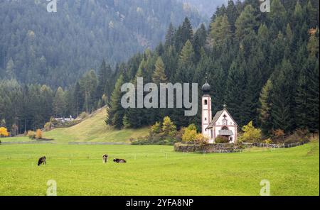 Die kleine und wunderschöne Kirche Saint John, Ranui, Chiesetta di san giovanni in Ranui Runes Südtirol Italien, umgeben von grüner Wiese, Wald an Stockfoto