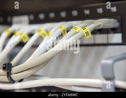 Computer-Ethernet-Datenkabel, die in einer Reihe an einem Datenpatchfeld-Port angeschlossen sind, um die Verbindung zu einem Netzwerk herzustellen Stockfoto