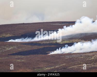 Heidekraut brennen, von Wildhütern, um junge Heidekraut zu fördern, die für Auerhühner geeignet sind. North Pennines, November 2024 Stockfoto