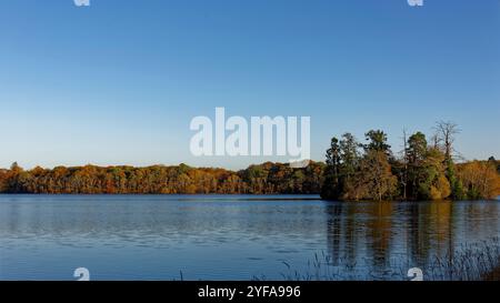 Clunie Island and Castle liegt im Loch of Clunie in der Nähe von Forneth, Blairgowrie unter einem kalten, klaren blauen Himmel im November. Stockfoto