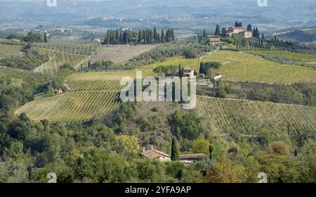 Wunderschöne Weinberge in San Gimignano, Toskana, Italien Anfang Oktober Stockfoto