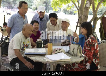 Peking, China, 10. Juni 2018: Gruppe älterer pensionierter Chinesen, die im öffentlichen Park singen. Aktiver Lebensstil, Asien Stockfoto