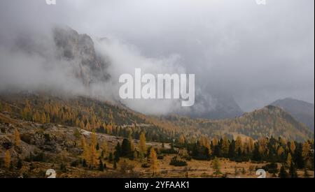Atemberaubender Blick auf die Berggipfel von Langkofel oder Saslonch, Bergkette in den bei Sonnenaufgang in Südtirol nebelbedeckten dolden, Ita Stockfoto
