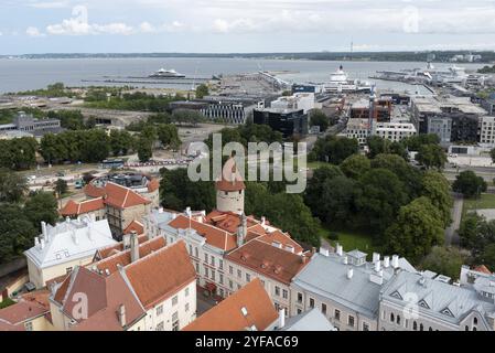 Tallinn, Estland, 20. Juli 2024: Tallinn Estland City scape. Blick vom Turm der Kirche Saint Olaf der alten Stadt Tallin, Europa Stockfoto