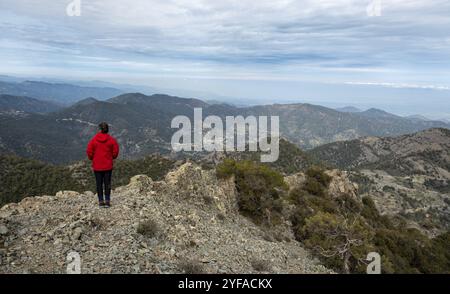 Rückansicht einer touristischen Frau, die auf einem felsigen Gipfel gegen einen bewölkten Himmel steht und Bergpanorama genießt. Wandern Reisen und Klettern Stockfoto