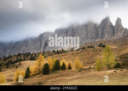 Atemberaubender Blick auf die Berggipfel von Langkofel oder Saslonch, Bergkette in den bei Sonnenaufgang in Südtirol nebelbedeckten dolden, Ita Stockfoto