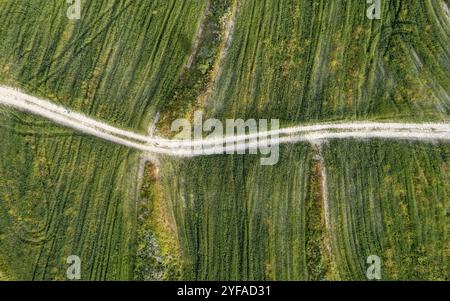 Drohnenantenne von kurvigem, leerem Landweg und grünem Landwirtschaftsfeld. Ackerland im Freien Stockfoto