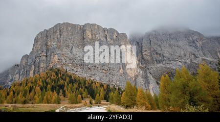 Im Herbst glühende Larche-Bäume am Rand des felsigen Berges. Herbstlandschaft im Wald. Dolomitalpen, Cortina d'Ampezzo, Italien, Europa Stockfoto