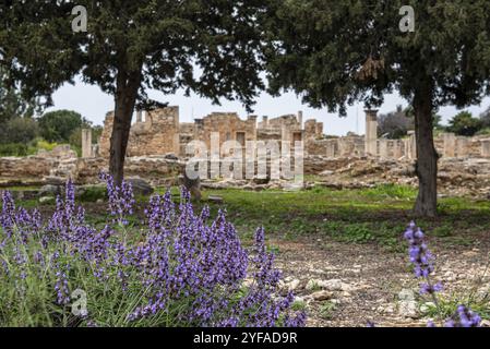 Antike Säulen von Apollon Hylate, Gott des Waldes, Heiligtum im Limassol Bezirk, Zypern, Europa Stockfoto