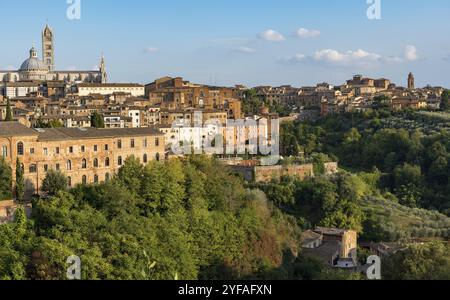 Panoramablick auf die historische Stadt Siena. Zentral-Toskana, Italien, Europa Stockfoto