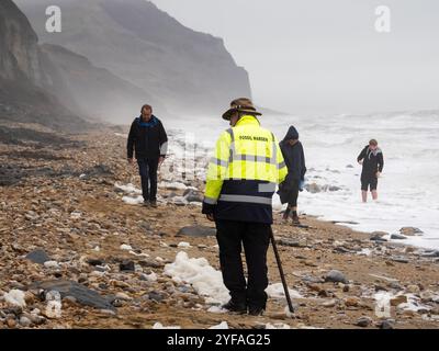 Fossilienjäger und ein Fossilienwächter am weltberühmten Fossilienstrand von Charmouth in Devon, wo viele Fossilien aus der Jurrasic-Klippe erodiert werden Stockfoto