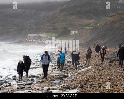 Fossilienjäger am weltberühmten Fossilienstrand Charmouth in Devon, wo viele Fossilien aus den jurrasischen Klippen erodiert werden. Stockfoto