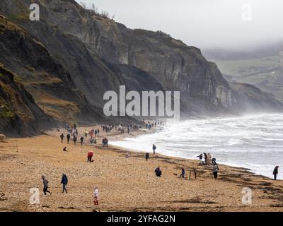 Fossilienjäger am weltberühmten Fossilienstrand Charmouth in Devon, wo viele Fossilien aus den jurrasischen Klippen erodiert werden. Stockfoto