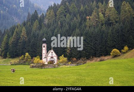 Die kleine und wunderschöne Kirche Saint John, Ranui, Chiesetta di san giovanni in Ranui Runes Südtirol Italien, umgeben von grüner Wiese, Wald an Stockfoto