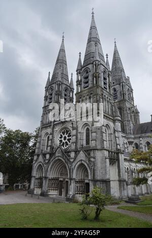 Saint fin Barres anglikanische Kathedrale und Gärten. Cork City Irland Europa Stockfoto