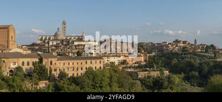 Panoramablick auf die historische Stadt Siena. Zentral-Toskana, Italien, Europa Stockfoto