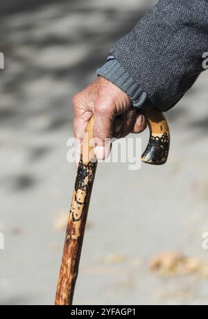 Senior-Mann hält einen traditionellen Gehstock aus Holz, um ihn zu unterstützen und ihm zu helfen, sicher zu gehen Stockfoto