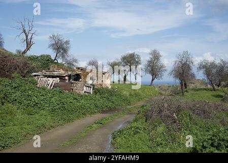 Verlassene und einstürzende Tierfarm Gebäude auf dem Feld. Menschenleere Orte Zypern Stockfoto