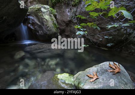Idyllischer ruhiger See mit blauem, sauberem Wasser und kleinem Wasserfall, der zwischen den Felsen auf der Halbinsel Akamas auf Zypern fließt Stockfoto
