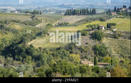 Wunderschöne Weinberge in San Gimignano, Toskana, Italien Anfang Oktober Stockfoto