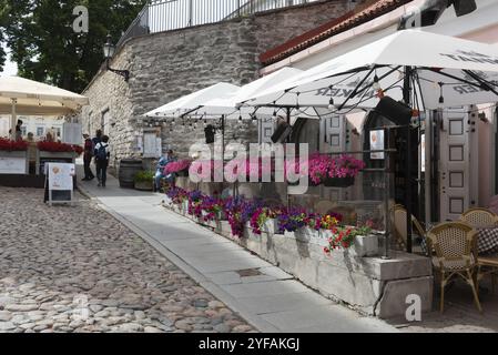 Tallinn, Estland, 20. Juli 2024: Altstadt von Tallinn mit farbenfrohen Gebäuden, Cafés, Restaurants und Ausruhen, Europa Stockfoto