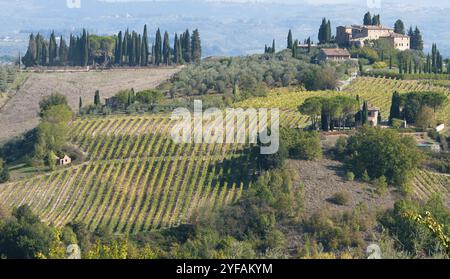 Wunderschöne Weinberge in San Gimignano, Toskana, Italien, Europa Stockfoto