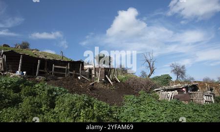 Verlassene und einstürzende Tierfarm Gebäude auf dem Feld. Menschenleere Orte Zypern Stockfoto