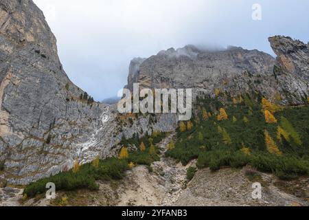 Im Herbst glühende Larche-Bäume am Rand des felsigen Berges. Herbstlandschaft im Wald. Dolomitalpen, Cortina d'Ampezzo, Italien, Europa Stockfoto