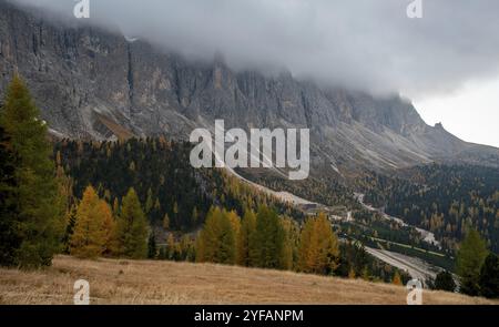 Atemberaubender Blick auf die Berggipfel von Langkofel oder Saslonch, Bergkette in den bei Sonnenaufgang in Südtirol nebelbedeckten dolden, Ita Stockfoto