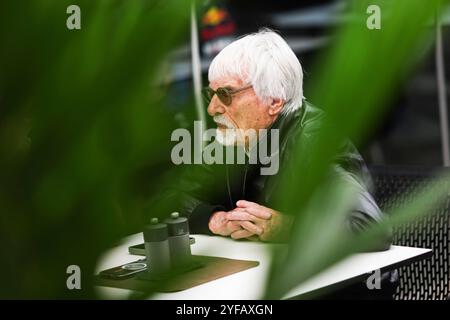 Sao Paulo, Brasilien. 31. Oktober 2024. Bernie Ecclestone (GBR), Formel 1 Grand Prix von Brasilien beim Autodromo Jose Carlos Pace am 31. Oktober 2024 in Sao Paulo, Brasilien. (Foto von HOCH ZWEI) Credit: dpa/Alamy Live News Stockfoto