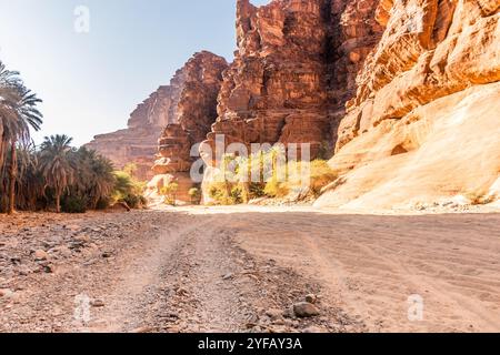 Blick auf den Wadi Disah Canyon, Saudi-Arabien Stockfoto