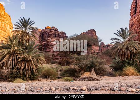 Blick auf den Wadi Disah Canyon, Saudi-Arabien Stockfoto