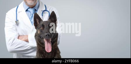 Selbstbewusster Tierarzt mit gekreuzten Armen und glücklichem Hund, der zusammen posiert, Haustierpflegekonzept, Banner mit Kopierraum Stockfoto