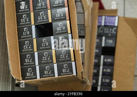 Haarfärbemittel und Farbstoffe, die im Schrank eines Frauenfriseursalons enthalten sind Stockfoto