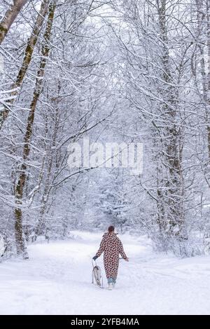 Das Haustier und der Besitzer laufen durch den Schnee im Winterwald. Die Fläche ist nicht sichtbar, die Ansicht von hinten. Sie gehen in die Ferne. C Stockfoto