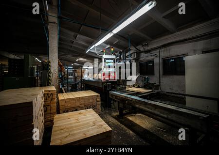 Eine große Holzbearbeitungsfabrik mit Stapeln frisch geschnittener Holzplatten, die für die Verarbeitung bereit sind und industrielle Effizienz und Präzision in einer guten Hand zeigen Stockfoto