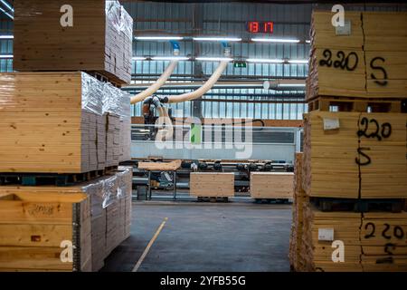 Eine große Holzbearbeitungsfabrik mit Stapeln frisch geschnittener Holzplatten, die für die Verarbeitung bereit sind und industrielle Effizienz und Präzision in einer guten Hand zeigen Stockfoto