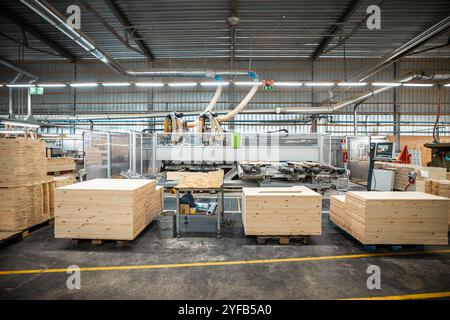 Eine große Holzbearbeitungsfabrik mit Stapeln frisch geschnittener Holzplatten, die für die Verarbeitung bereit sind und industrielle Effizienz und Präzision in einer guten Hand zeigen Stockfoto