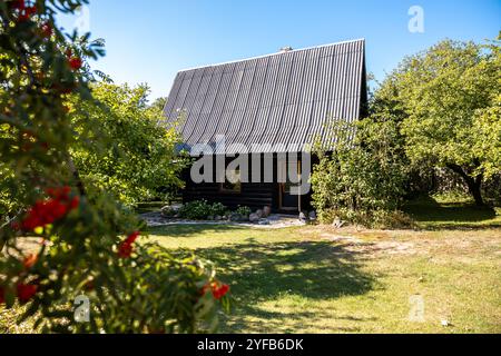 Gemütliche Holzhütte umgeben von Grün, mit einem kleinen Sitzbereich im Freien unter einer schattigen Veranda. Stockfoto