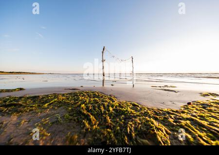 Strand bei Ebbe mit moosigen Algen, die den nassen Sand bedecken, während zwei Stangen mit hängenden Dekorationen vor dem Hintergrund des frühen Morni stehen Stockfoto